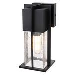 Janney Outdoor Wall Sconce - Black / Clear
