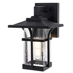 Woodstock Outdoor Wall Sconce - Black / Clear