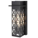 Wildey Outdoor Wall Sconce - Black / Clear