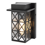 Wildey Outdoor Wall Sconce - Black / Clear