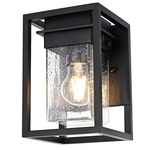 Morse Outdoor Wall Sconce - Black / Clear