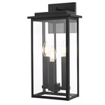 Kaysen Outdoor Wall Sconce - Black / Clear