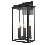 Kaysen Outdoor Wall Sconce - Black / Clear