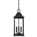 Shepard Outdoor Pendant - Black / Clear