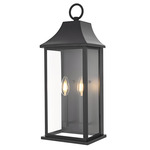 Shepard Outdoor Wall Sconce - Black / Clear