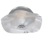 Cumulus Wall Sconce / Ceiling Flush Light - Classic Silver