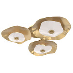 Cumulus Hub & Spoke Ceiling / Wall Sconce - Gilded Brass