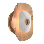 Cumulus Wall Sconce / Ceiling Flush Light - Novel Brass