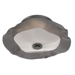 Cumulus Wall Sconce / Ceiling Flush Light - Graphite