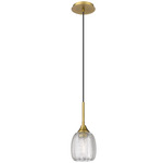 Berkshire Cord Hung Pendant - Brushed Brass / Clear
