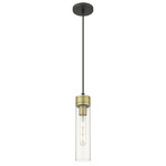 Boreas Cord Hung Pendant - Black Antique Brass / Clear
