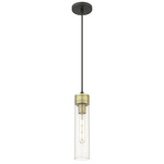 Boreas Cord Hung Pendant - Black Antique Brass / Clear Seedy