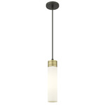Boreas Cord Hung Pendant - Black Antique Brass / Striped White