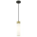 Boreas Cord Hung Pendant - Black Antique Brass / White