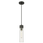 Boreas Cord Hung Pendant - Matte Black / Clear
