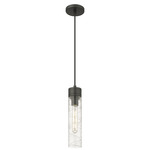Boreas Cord Hung Pendant - Matte Black / Clear Swirl
