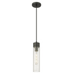Boreas Cord Hung Pendant - Matte Black / Clear Seedy