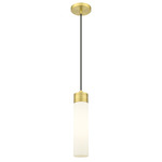 Boreas Cord Hung Pendant - Satin Gold / White
