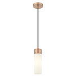 Boreas Cord Hung Pendant - Antique Copper / White