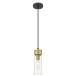Boreas Cord Hung Pendant - Black Antique Brass / Clear