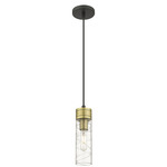 Boreas Cord Hung Pendant - Black Antique Brass / Clear Swirl