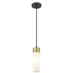 Boreas Cord Hung Pendant - Black Antique Brass / White