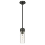 Boreas Cord Hung Pendant - Matte Black / Clear
