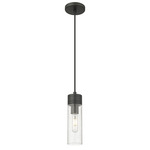 Boreas Cord Hung Pendant - Matte Black / Clear Seedy
