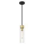 Boreas Stem Hung Pendant - Black Antique Brass / Clear
