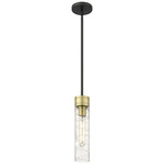 Boreas Stem Hung Pendant - Black Antique Brass / Clear Swirl
