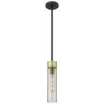Boreas Stem Hung Pendant - Black Antique Brass / Smoke