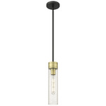 Boreas Stem Hung Pendant - Black Antique Brass / Clear Seedy