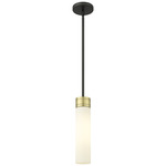 Boreas Stem Hung Pendant - Black Antique Brass / Striped White