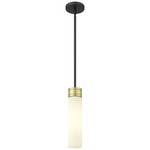 Boreas Stem Hung Pendant - Black Antique Brass / White