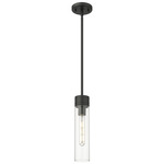 Boreas Stem Hung Pendant - Matte Black / Clear