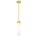 Boreas Stem Hung Pendant - Satin Gold / White