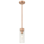 Boreas Stem Hung Pendant - Antique Copper / Clear Seedy