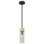 Boreas Stem Hung Pendant - Black Antique Brass / Smoke