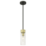 Boreas Stem Hung Pendant - Black Antique Brass / Clear Seedy