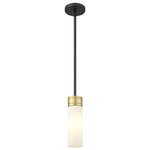 Boreas Stem Hung Pendant - Black Antique Brass / White