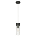 Boreas Stem Hung Pendant - Matte Black / Clear Seedy