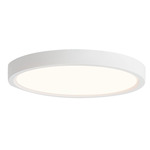 Mio Color-Select Ceiling Light - White / Frosted