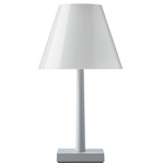 Dina Table Lamp - Silver / White