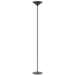 Dry Floor Lamp - Matte Black