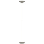 Dry Floor Lamp - Champagne