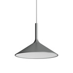 Dry Pendant - Silver