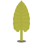 Eden Alocasia Floor Lamp - Anthracite / Sprout Green