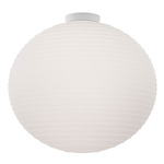 Flow Glass Wall / Ceiling Light - Matte White / White