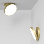Venere Wall / Ceiling Light - Royal Gold
