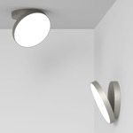 Venere Wall / Ceiling Light - Champagne